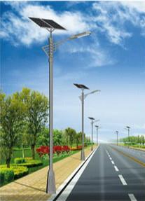 1742827545426759.jpg 陇南太阳能路灯.jpg